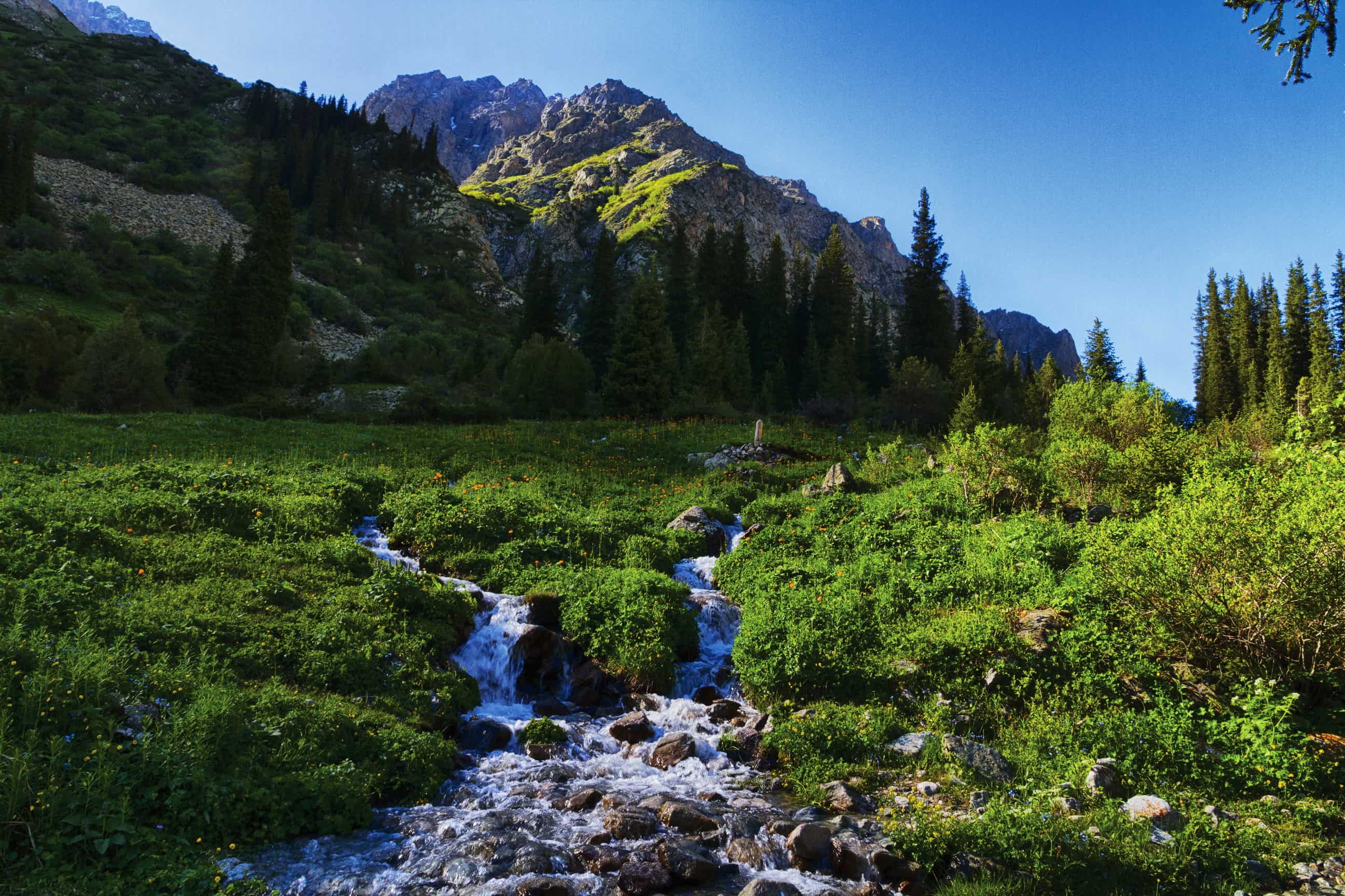 Mountains_Scenery_Kyrgyzstan_Tian_Shan_Stream_Grass_Nature_2592x1728