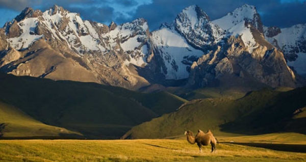 Wildlife of Kyrgyzstan